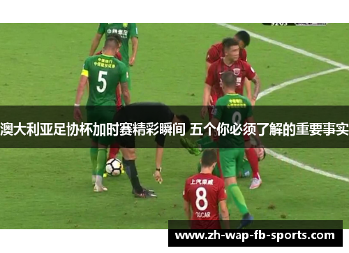 澳大利亚足协杯加时赛精彩瞬间 五个你必须了解的重要事实