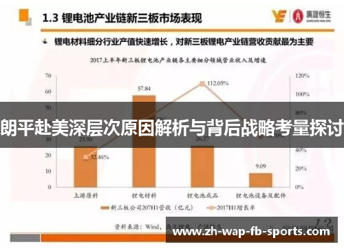 朗平赴美深层次原因解析与背后战略考量探讨