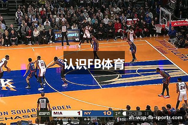 认识FB体育